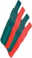 Wrestling Referee Ankle Bands-Red and Green